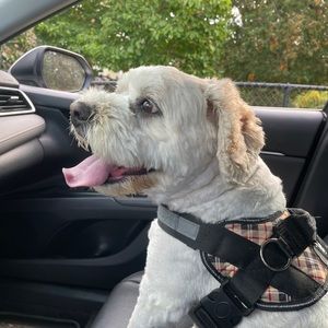 Meet your Posher, Brianna